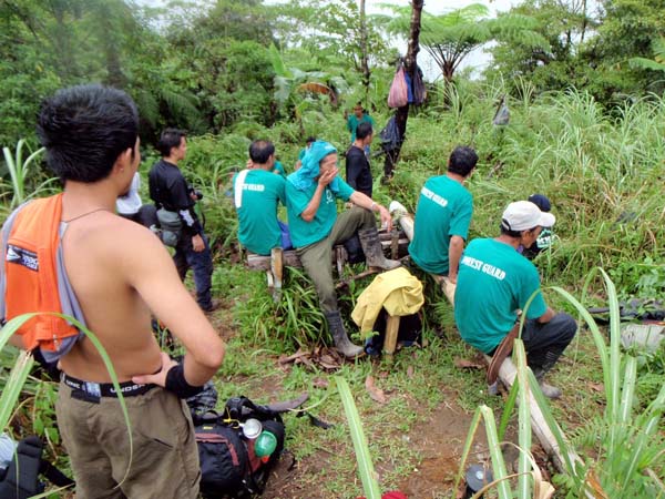 tree planting site assisted by forest rangers