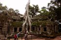 this is where the picture was taken...that compelling picture that made me come to Ta Prohm
