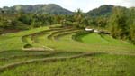 trekking to the rice terraces of Tibiao