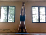 Conducting Yoga Classes at Pema Thang Guest House, Dharamshala, India