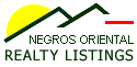 Negros Oriental Real Estate Website