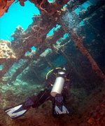 Wreck Diving in Coron with Rocksteady Dive Center