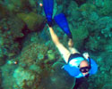 Free-Diving the Coral Reef of Birok Islet, Surigao City