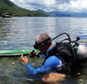 Diving Capandan and Uba Sanctuaries of Cortes, Surigao del Sur