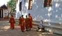 young monks on a leisurely walk