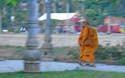 I love taking pictures of monks
