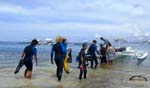 off to dive at Coconut Point