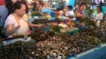 seafood stall