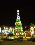 giant Christmas tree inside Pastrana Park