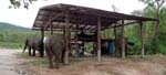 more elephant camps along the way