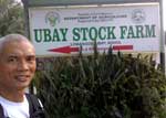 Visiting the Ubay Stock Farm