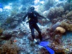 Scuba Diving Balicasag Island with SeaQuest Dive Center