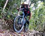 Solo Ride To The Sikatuna Tree Park