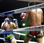 Muay Thai at the Chiang Mai Boxing Stadium