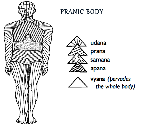 pranic body