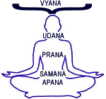 Prana Vayu (Pranic Wind)