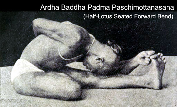 Ardha Baddha Padma Paschimottanasana