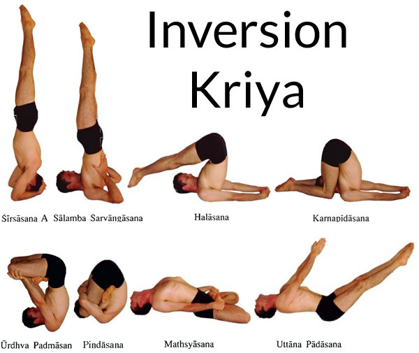 The Evolution of Kriya Yoga | Kriya yoga, Yoga poses advanced, Advanced yoga