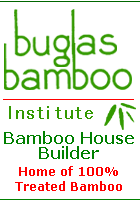 Buglas Bamboo