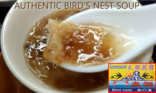 authentic bird's nest soup, Chiang Mai